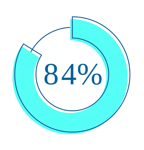 Circle graph showing 84%